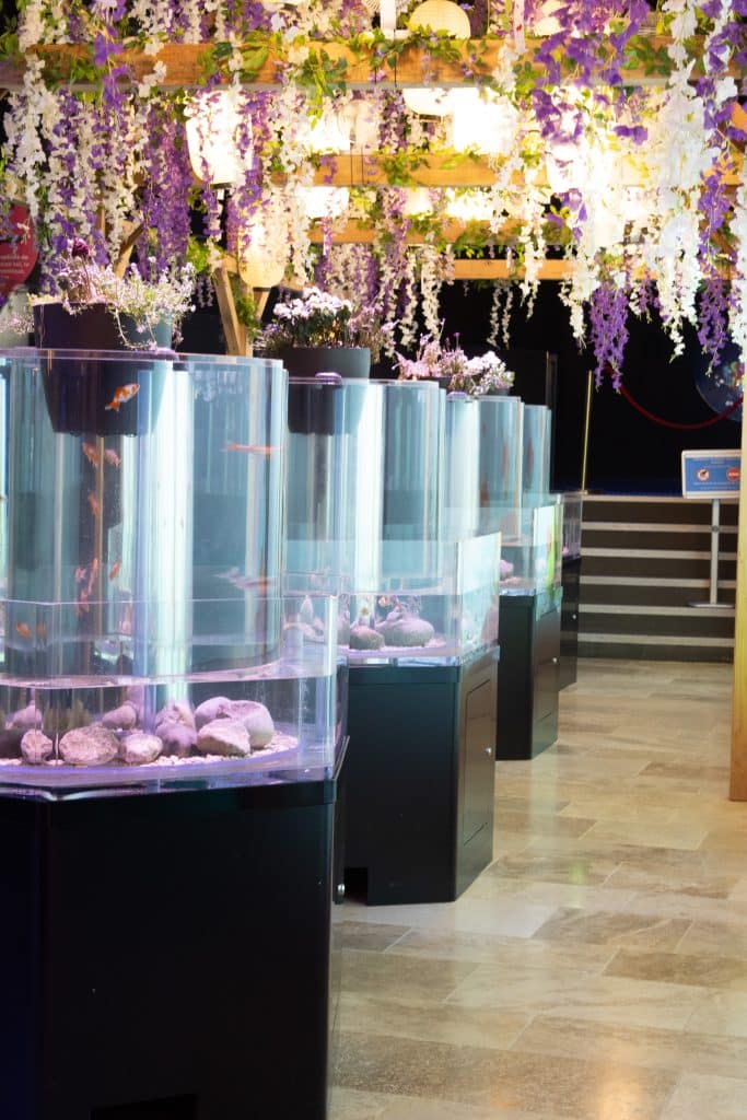 Aquarium Hexagonale avec meuble PVC