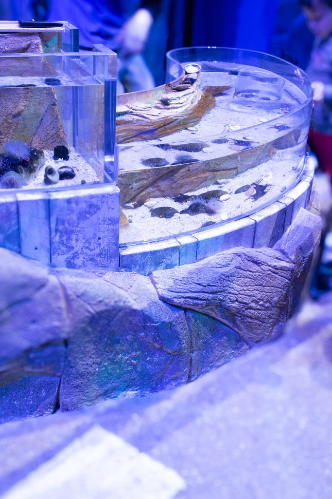 Bassin tactile